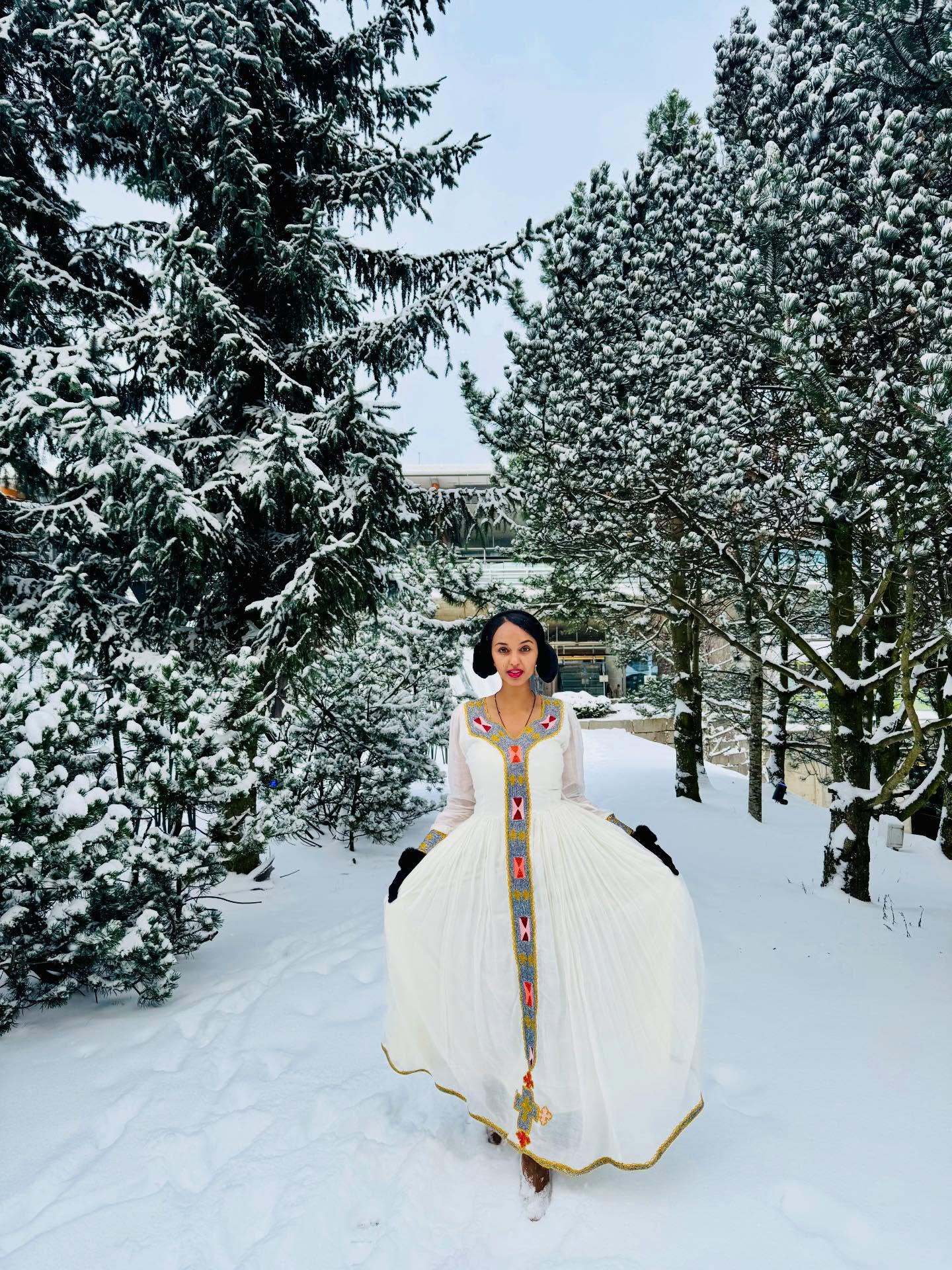 FIDEL HABESHA DRESS WITH LONG SLEEVE | MULTICOLOR EMBROIDERY HABESHA KEMIS | TRADITIONAL HABESHA DRESS